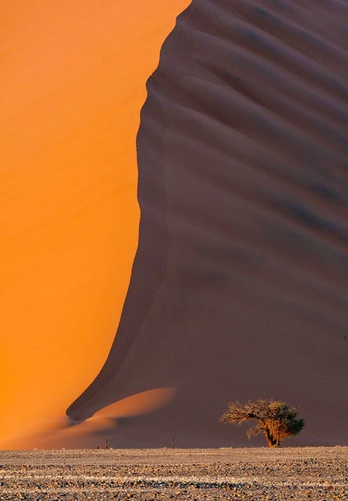 کویر